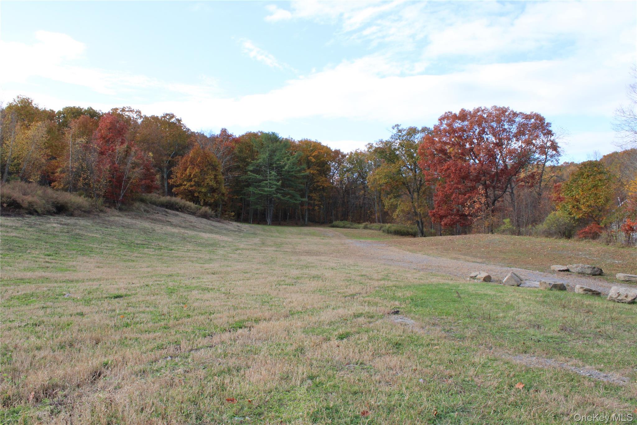 400 Round Lake Road Rhinebeck, NY 12572 - Photo 22 of 34 View of green lawn featuring a view of trees