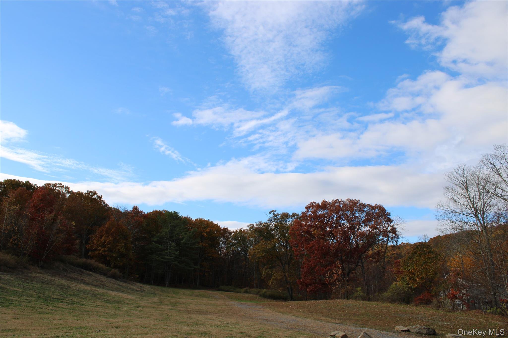 400 Round Lake Road Rhinebeck, NY 12572 - Photo 23 of 34 View of road with a wooded view