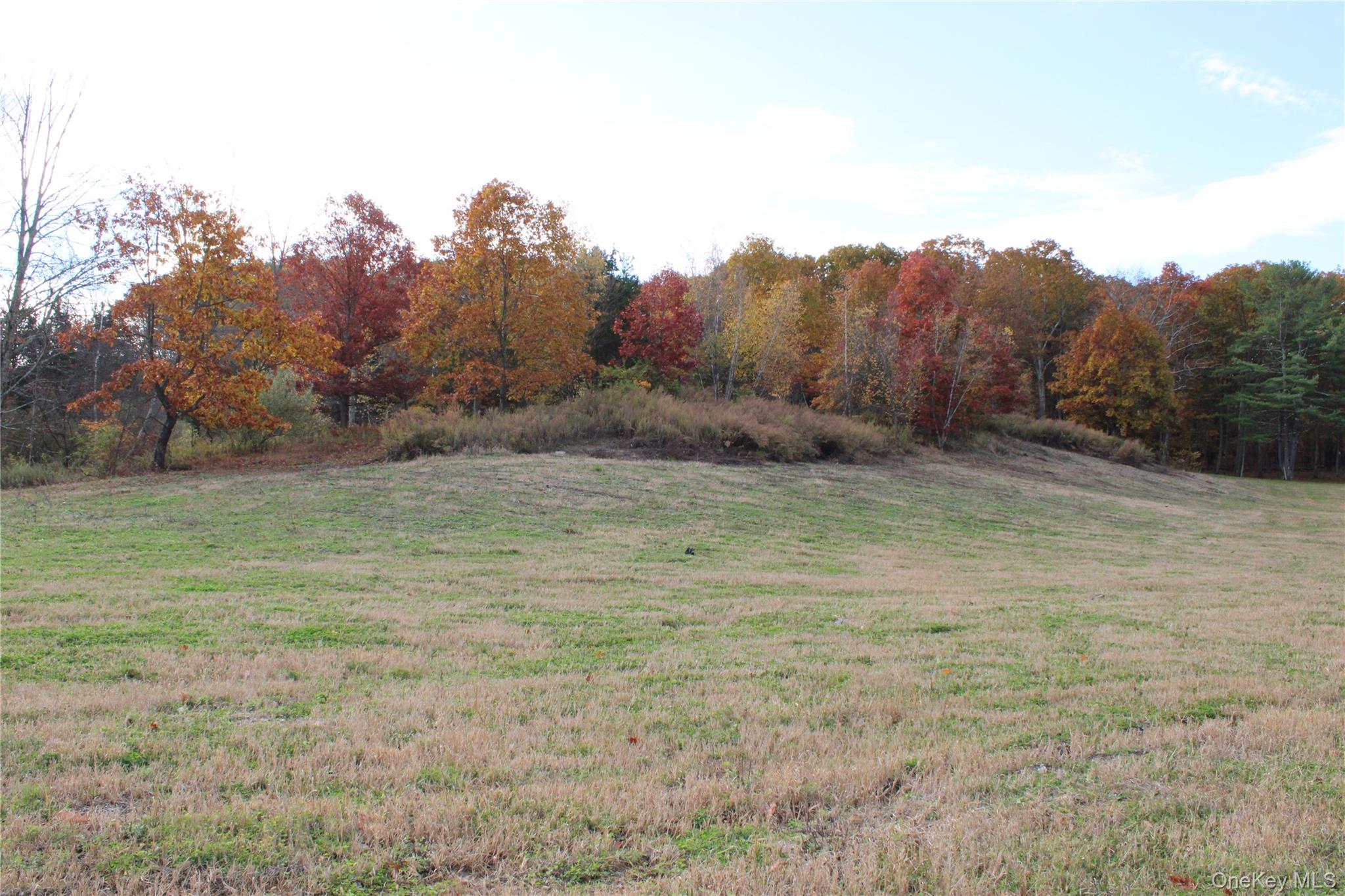 400 Round Lake Road Rhinebeck, NY 12572 - Photo 24 of 34 View of green lawn featuring a rural view