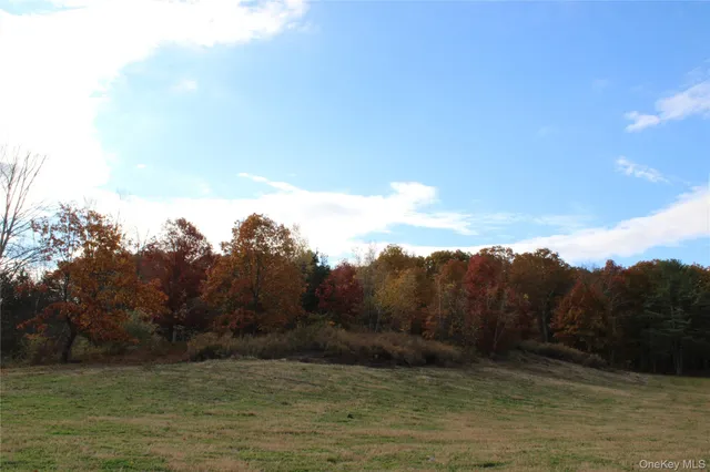 a view of a yard with a tree
