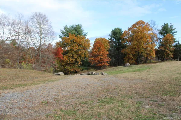 a view of a field with trees in the background
