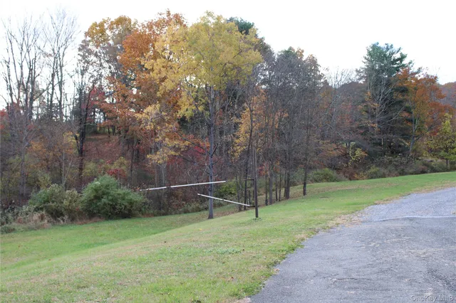 a view of a park with large trees