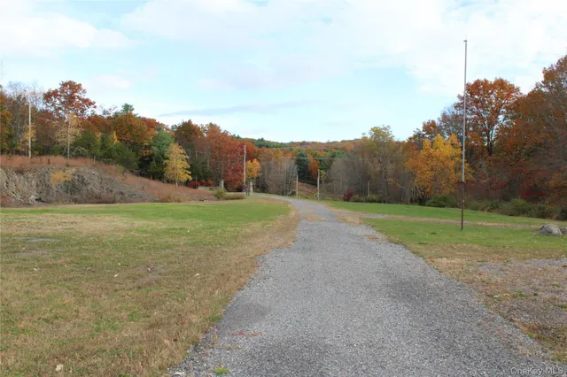 a view of a field with trees in the background