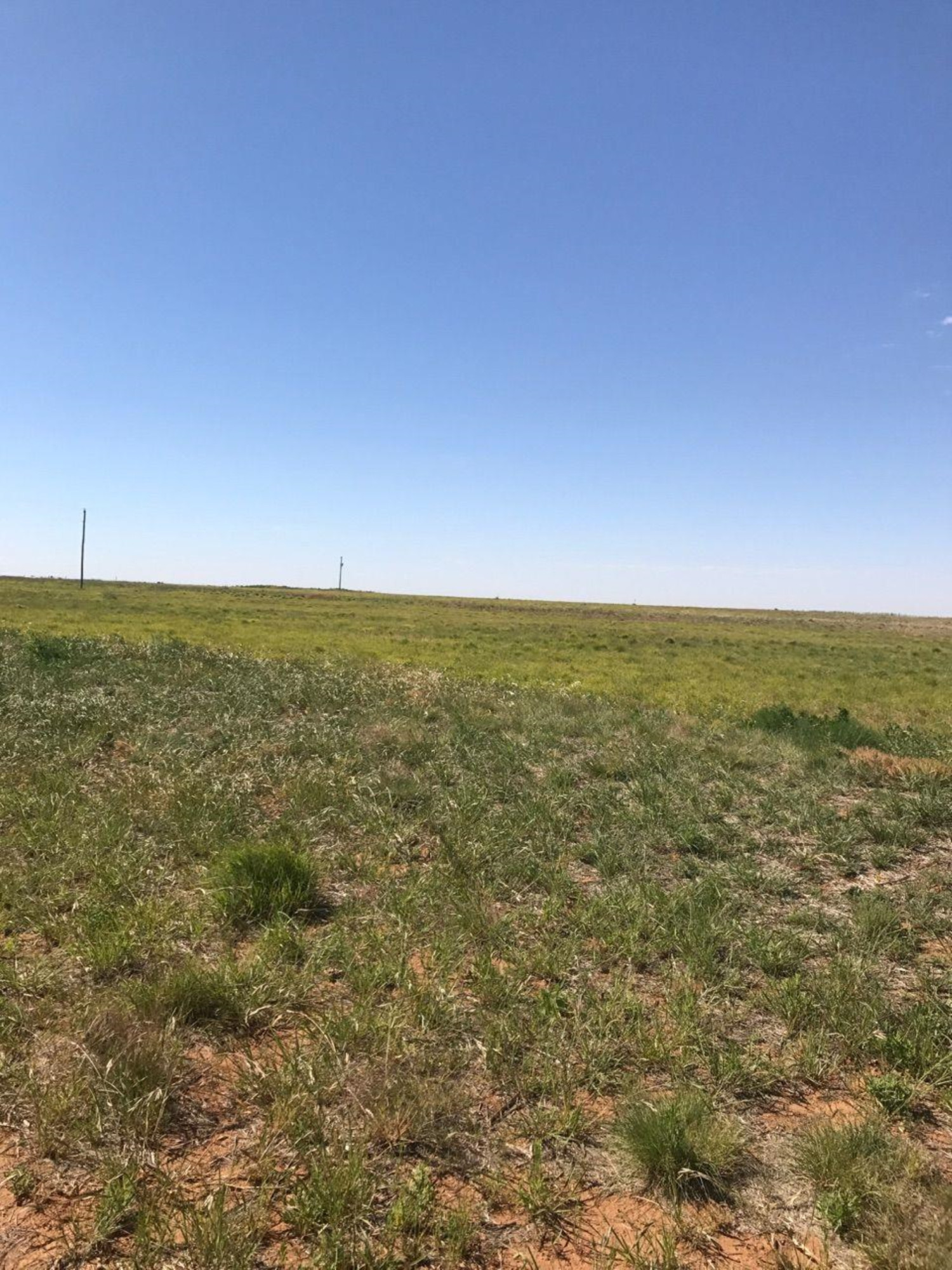 6898 Colorado Road Shallowater, TX 79363 - Photo 6 of 9 Photo 6