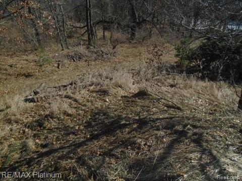 7072 Denton Hill Road Fenton, MI 48430 - Photo 10 of 27 Gallery Image 10