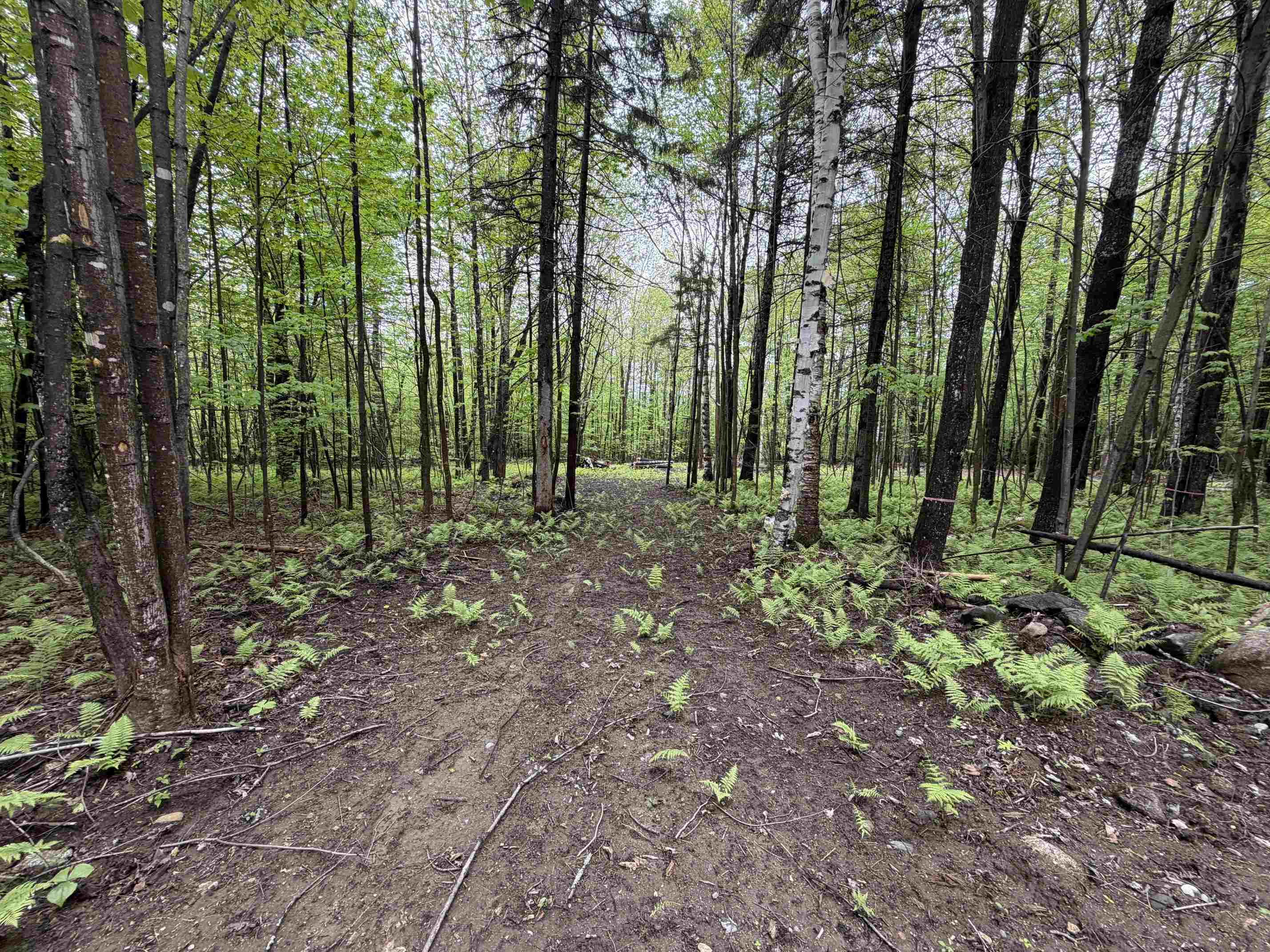114 Lewis Hill Road Bethlehem, NH 03574 - Photo 8 of 12