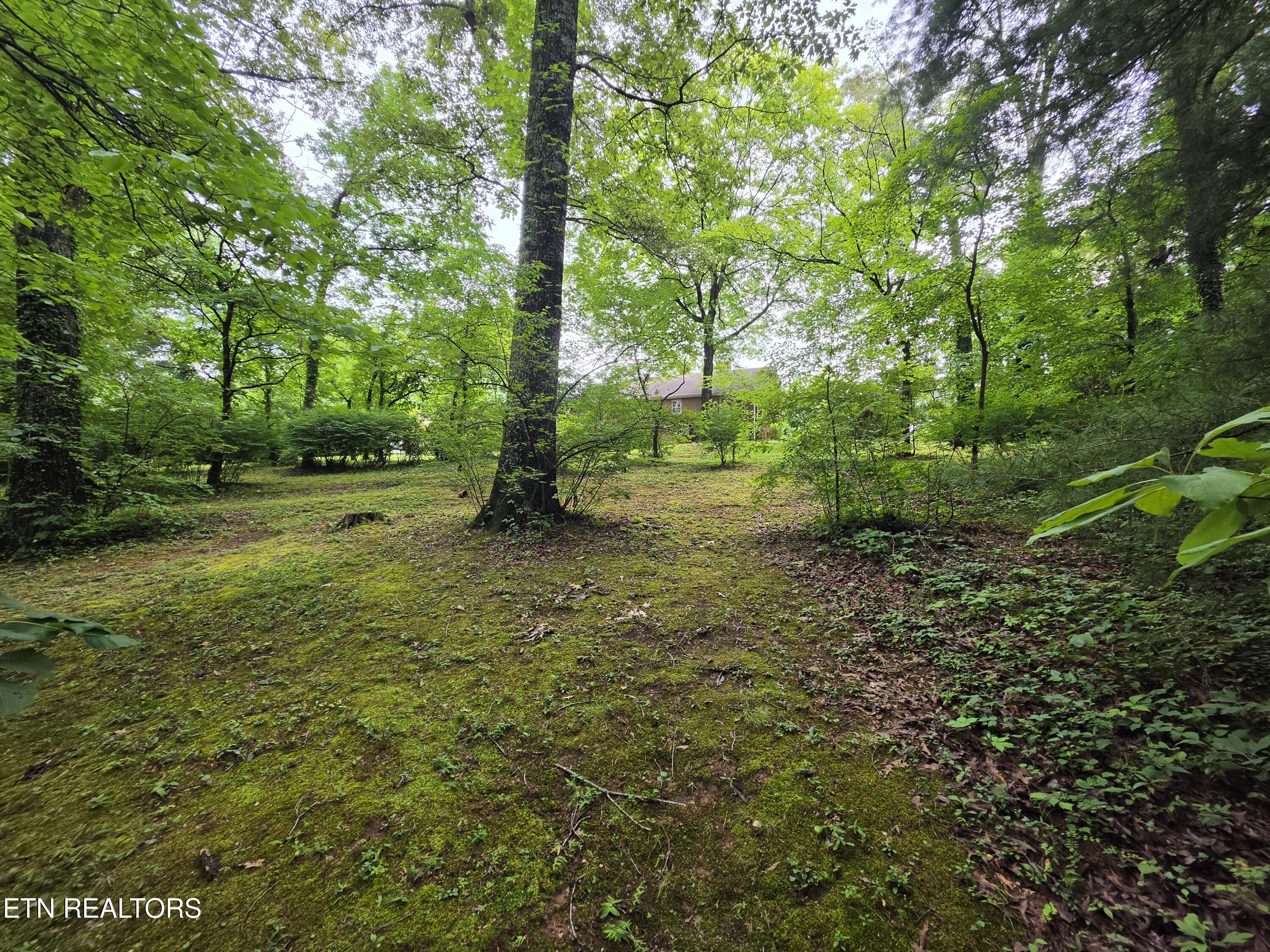 1211 Craig Road Knoxville, TN 37919 - Photo 37 of 42 Backyard