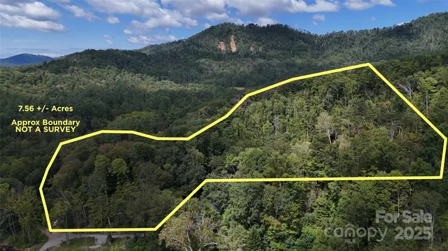 a view of a swimming pool with a yard and green space