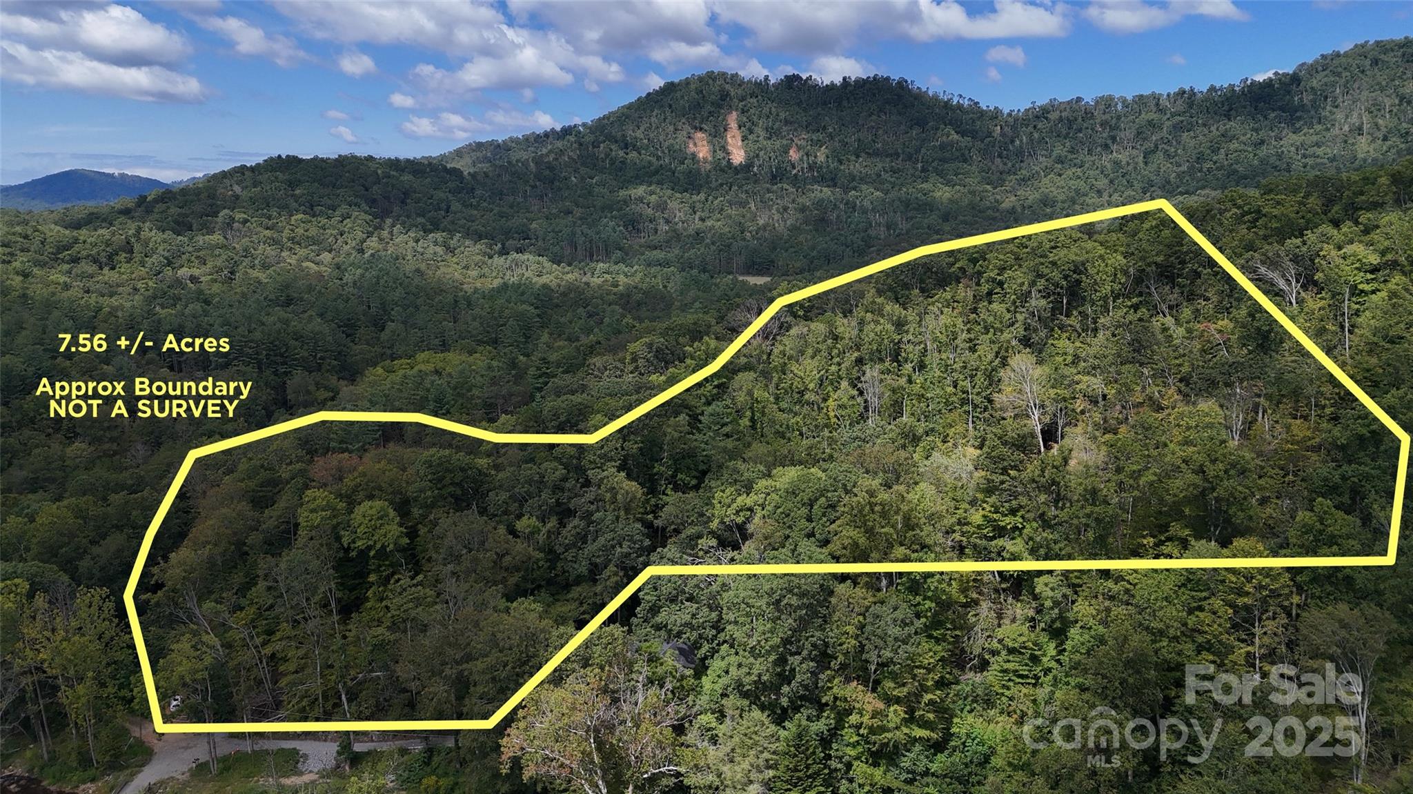 a view of a swimming pool with a yard and green space