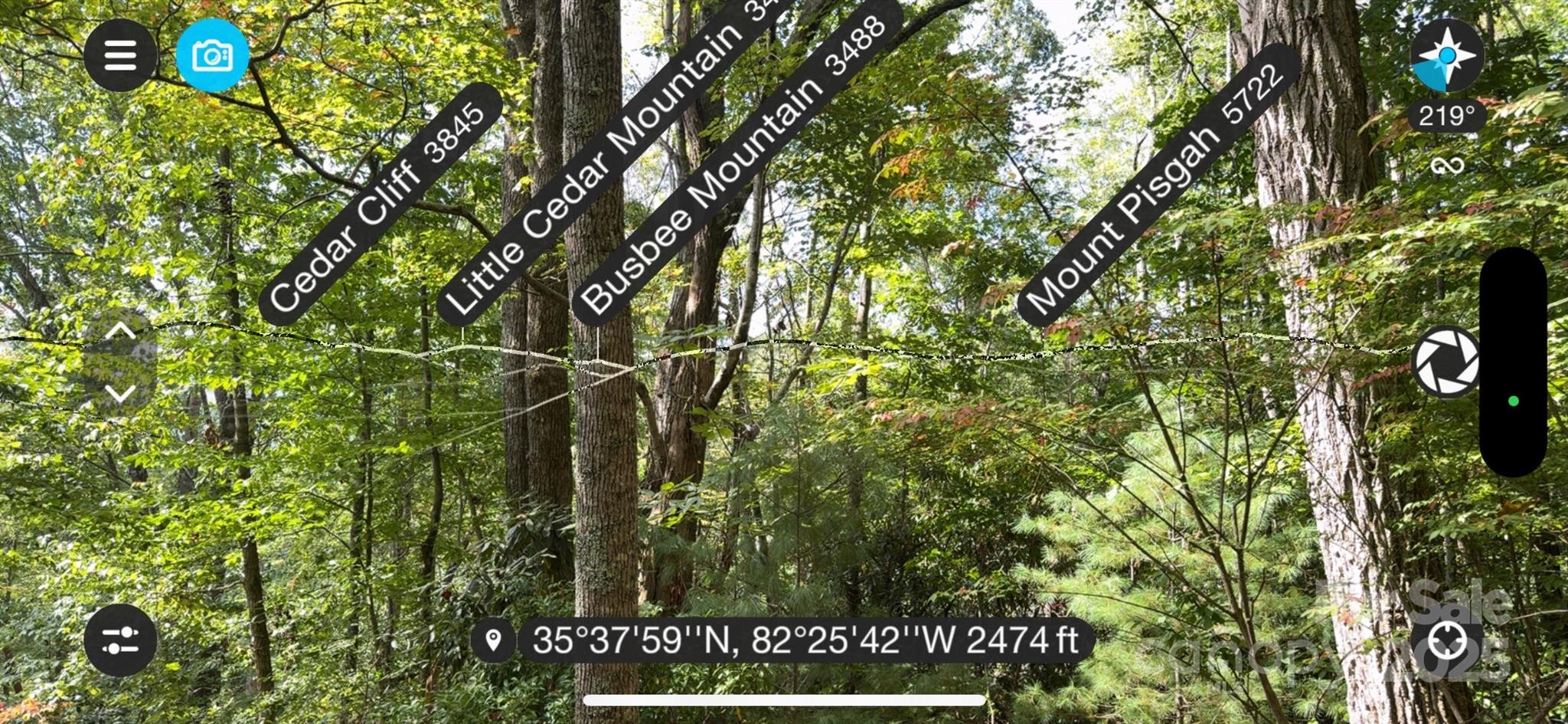 508 Old Bee Tree Road Swannanoa, NC 28778 - Photo 11 of 37 a view of a field with plants