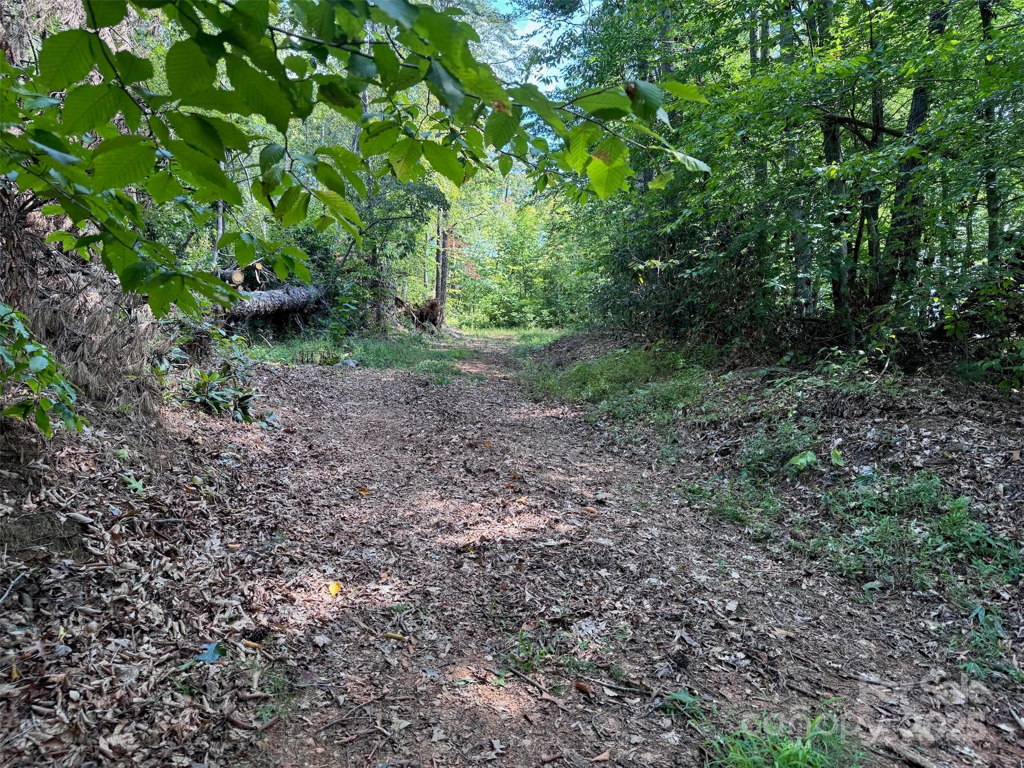 508 Old Bee Tree Road Swannanoa, NC 28778 - Photo 15 of 37 a view of a yard with plants and trees