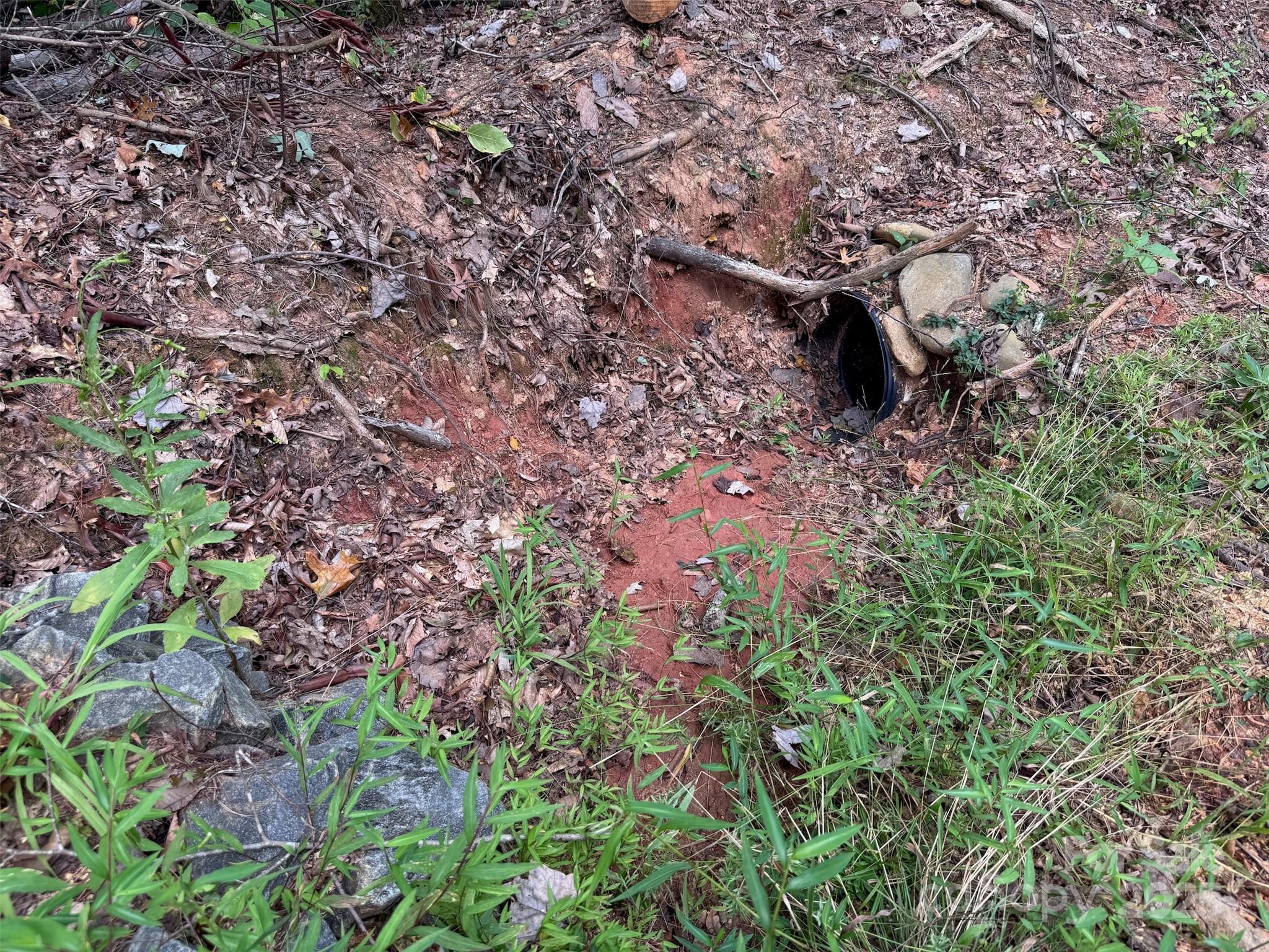 508 Old Bee Tree Road Swannanoa, NC 28778 - Photo 16 of 37 a backyard of a house with lots of plants and trees
