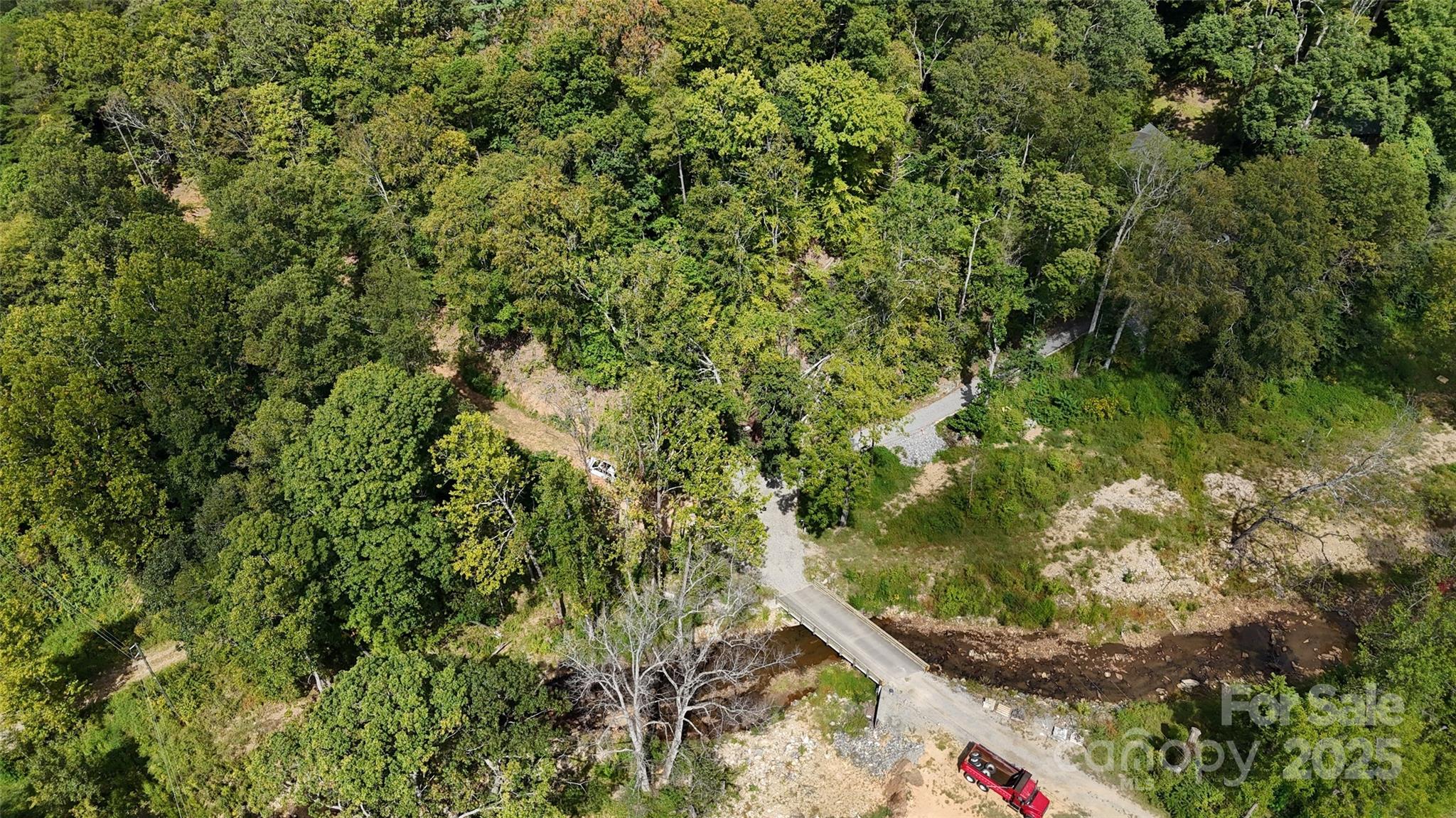 508 Old Bee Tree Road Swannanoa, NC 28778 - Photo 21 of 37 a view of a forest with a tree