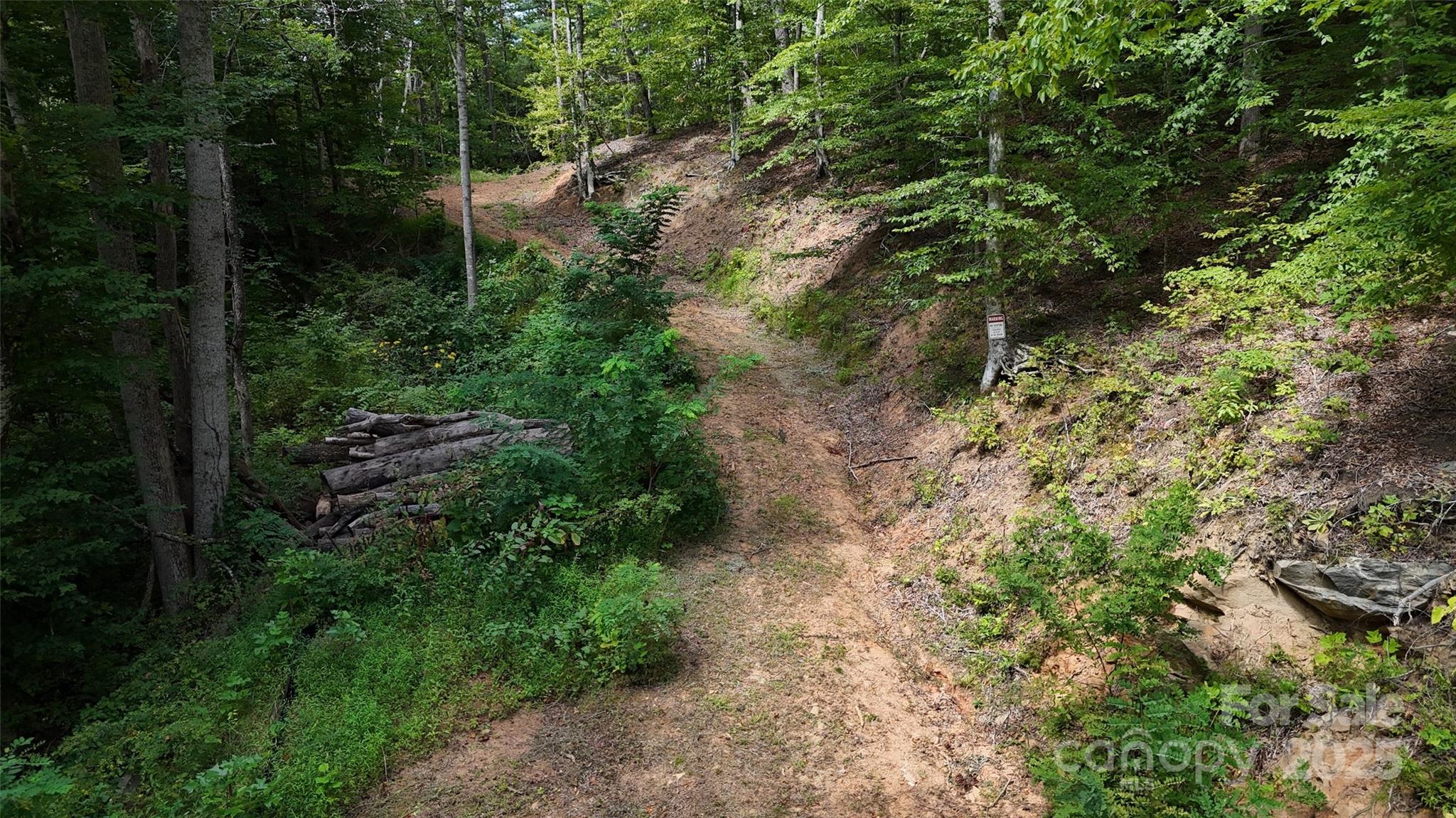 508 Old Bee Tree Road Swannanoa, NC 28778 - Photo 22 of 37 a view of a yard with plants and large trees