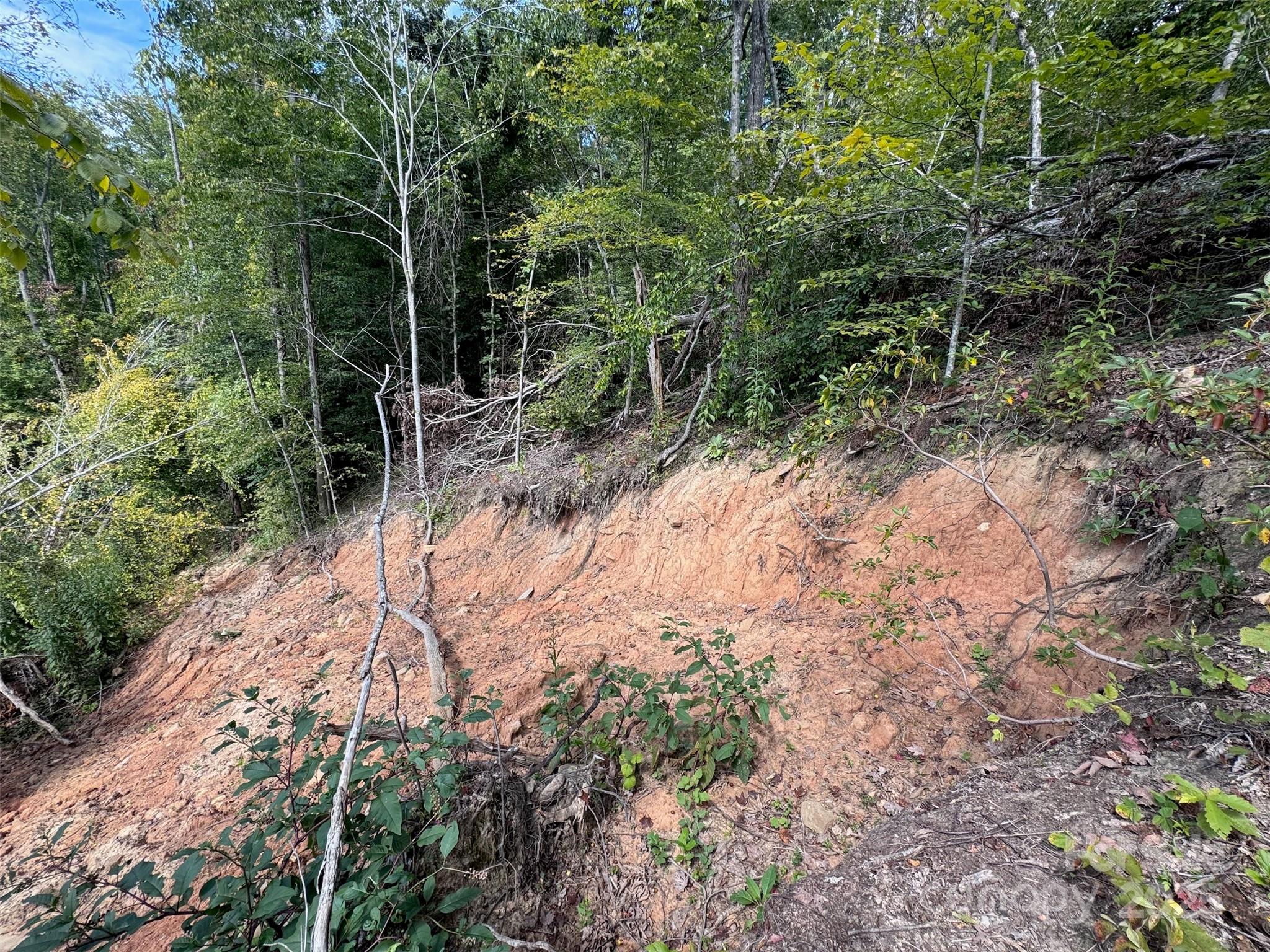 508 Old Bee Tree Road Swannanoa, NC 28778 - Photo 23 of 37 a backyard of a house with lots of green space