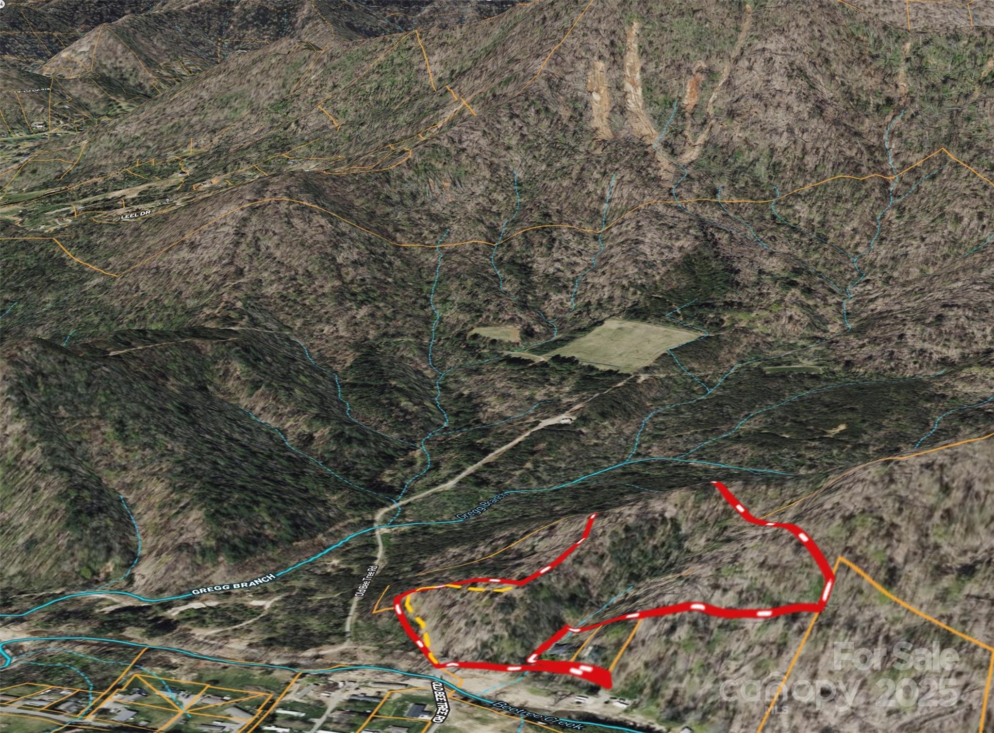 508 Old Bee Tree Road Swannanoa, NC 28778 - Photo 26 of 37 a picture of flowers