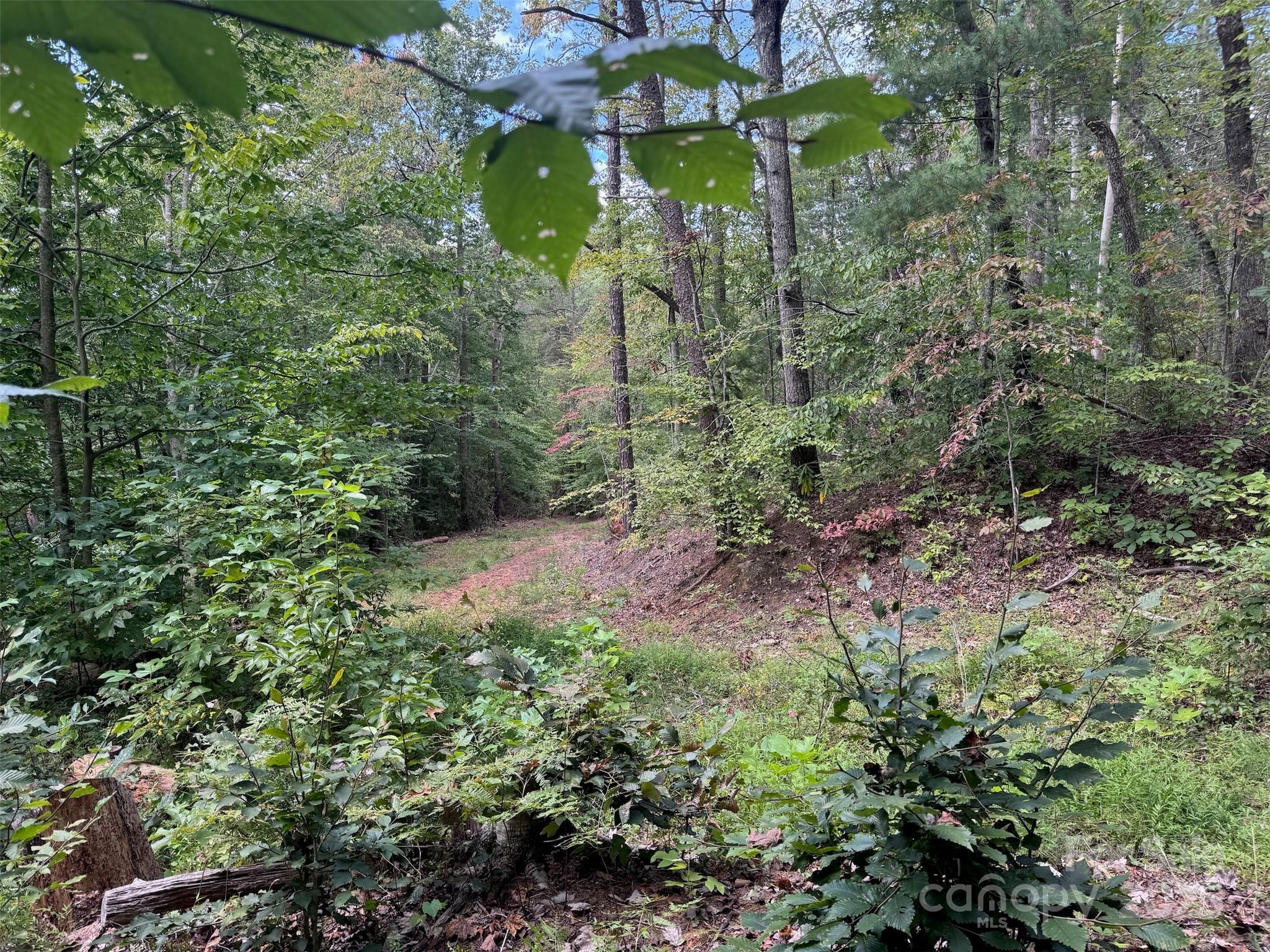 508 Old Bee Tree Road Swannanoa, NC 28778 - Photo 3 of 37 a view of a garden with a fountain