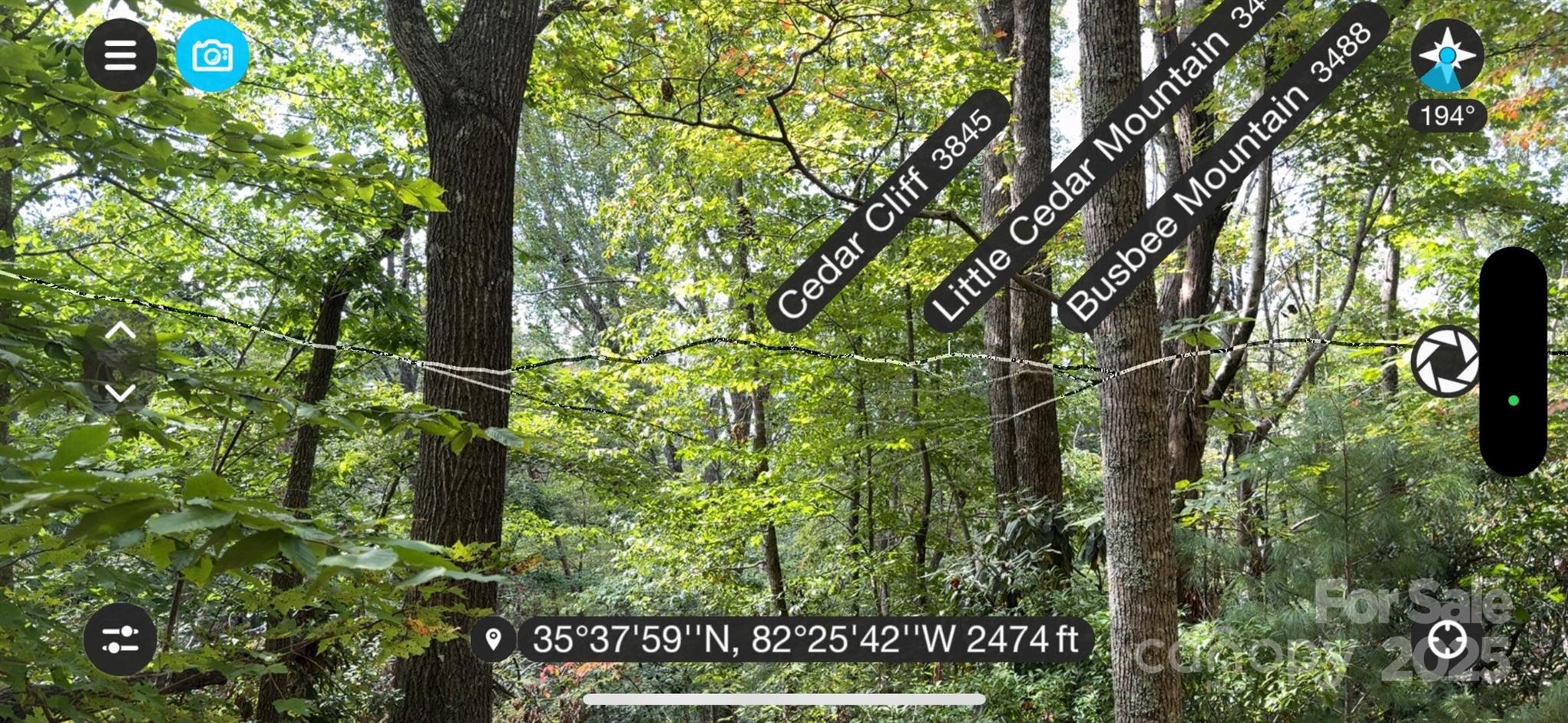 508 Old Bee Tree Road Swannanoa, NC 28778 - Photo 31 of 37 a view of that has big tree