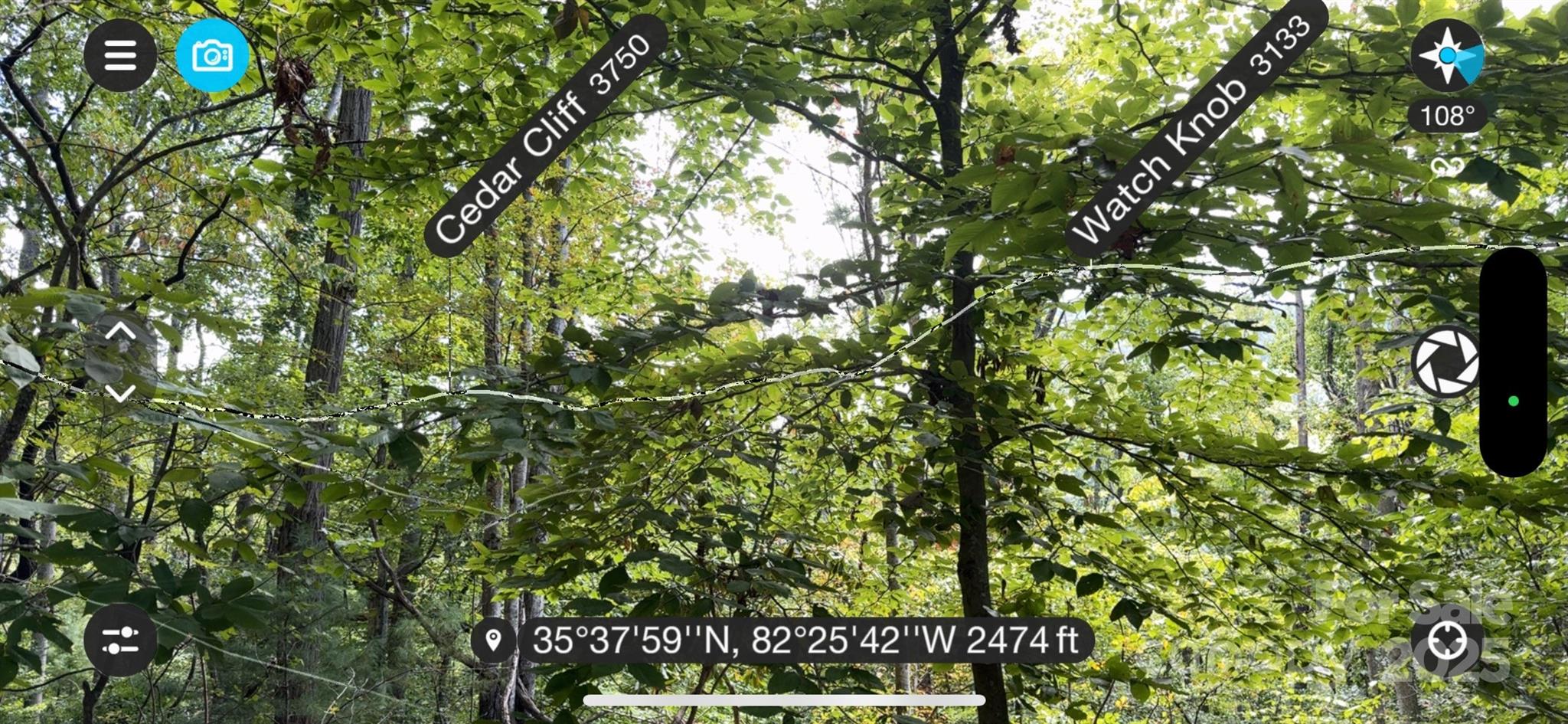 508 Old Bee Tree Road Swannanoa, NC 28778 - Photo 32 of 37 a view of a tree