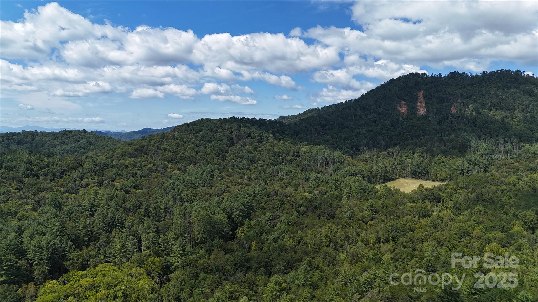 508 Old Bee Tree Road Swannanoa, NC 28778 - Photo 34 of 37 a view of a bunch of trees in a field