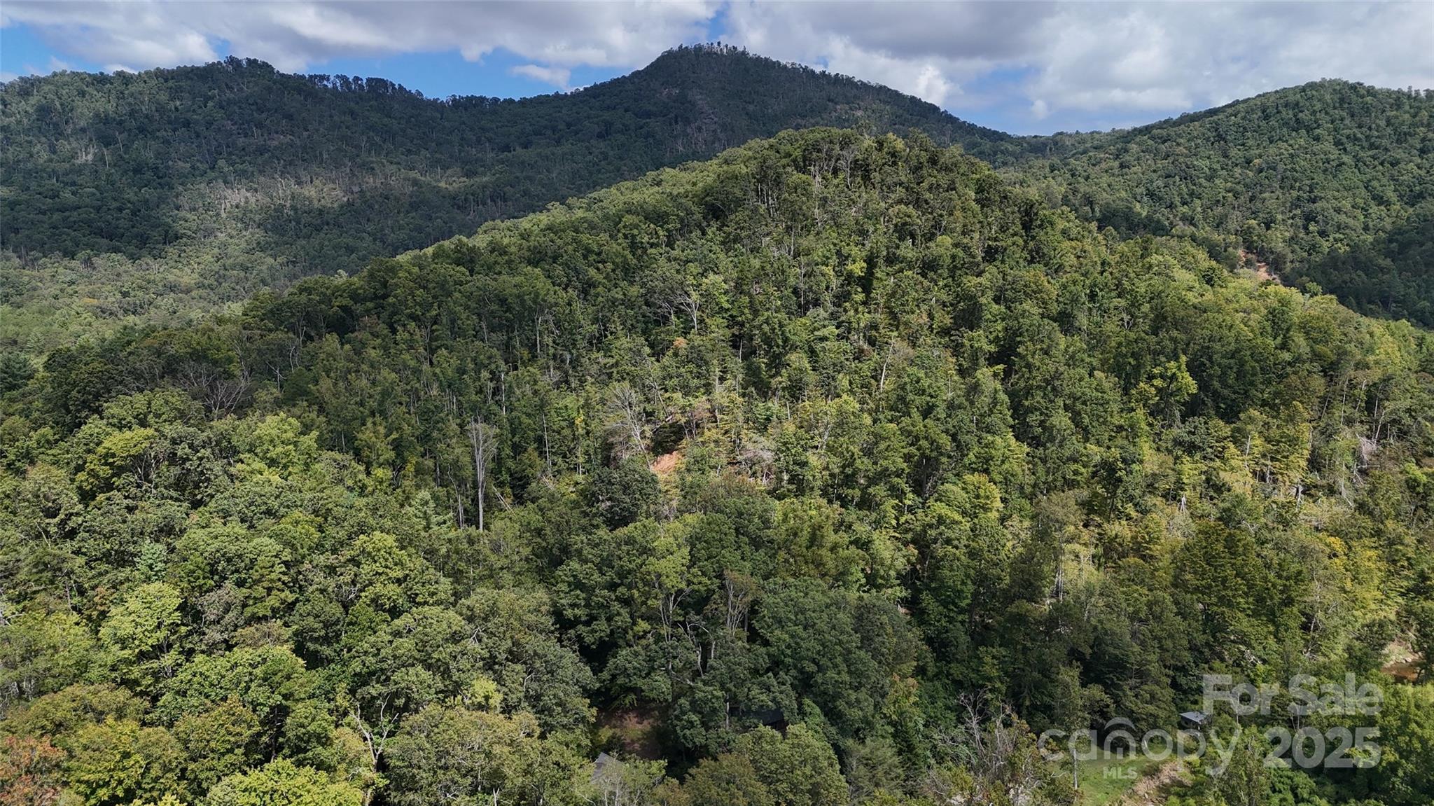 508 Old Bee Tree Road Swannanoa, NC 28778 - Photo 35 of 37 a view of a lush green hillside and a building