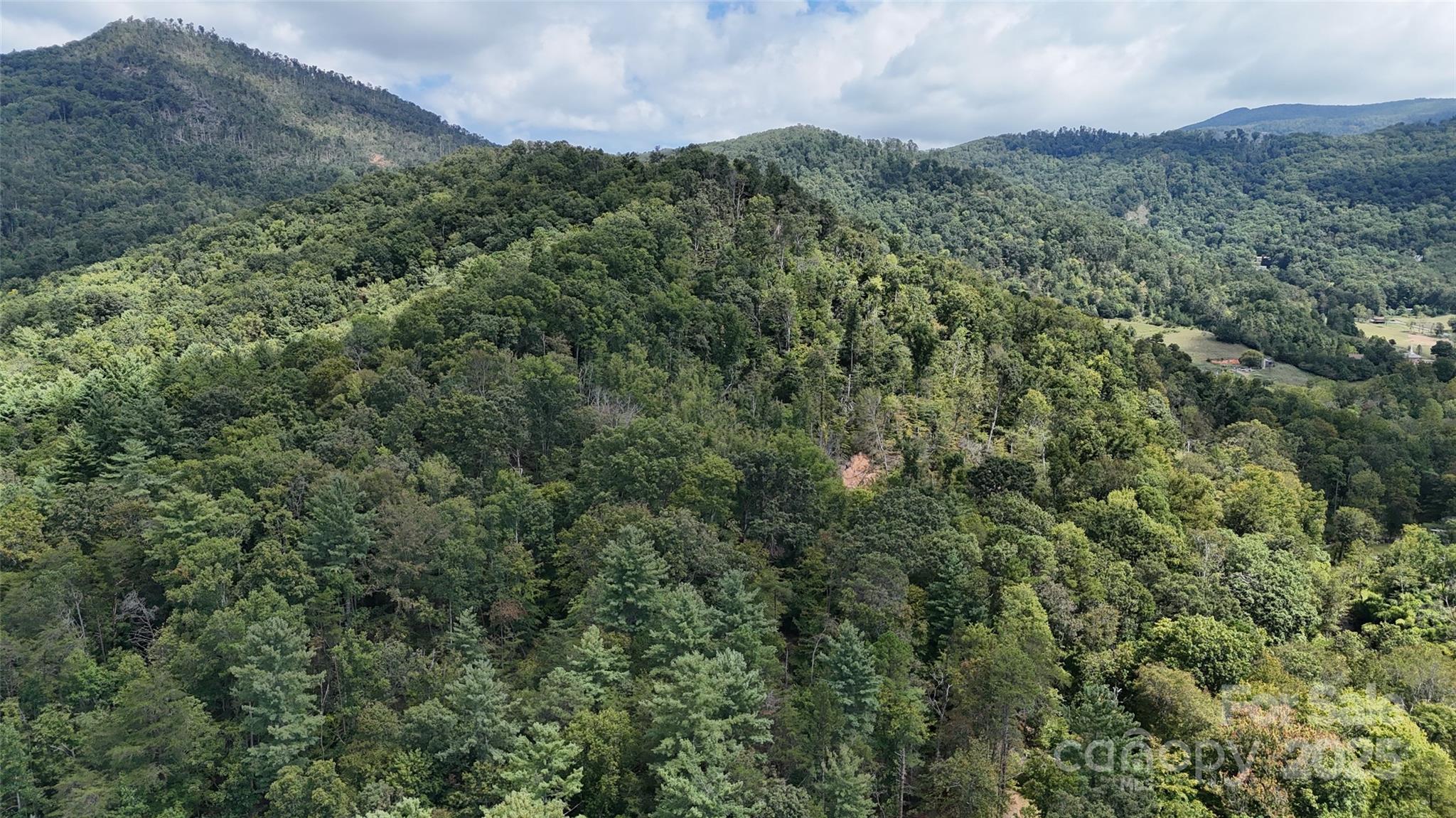 508 Old Bee Tree Road Swannanoa, NC 28778 - Photo 36 of 37