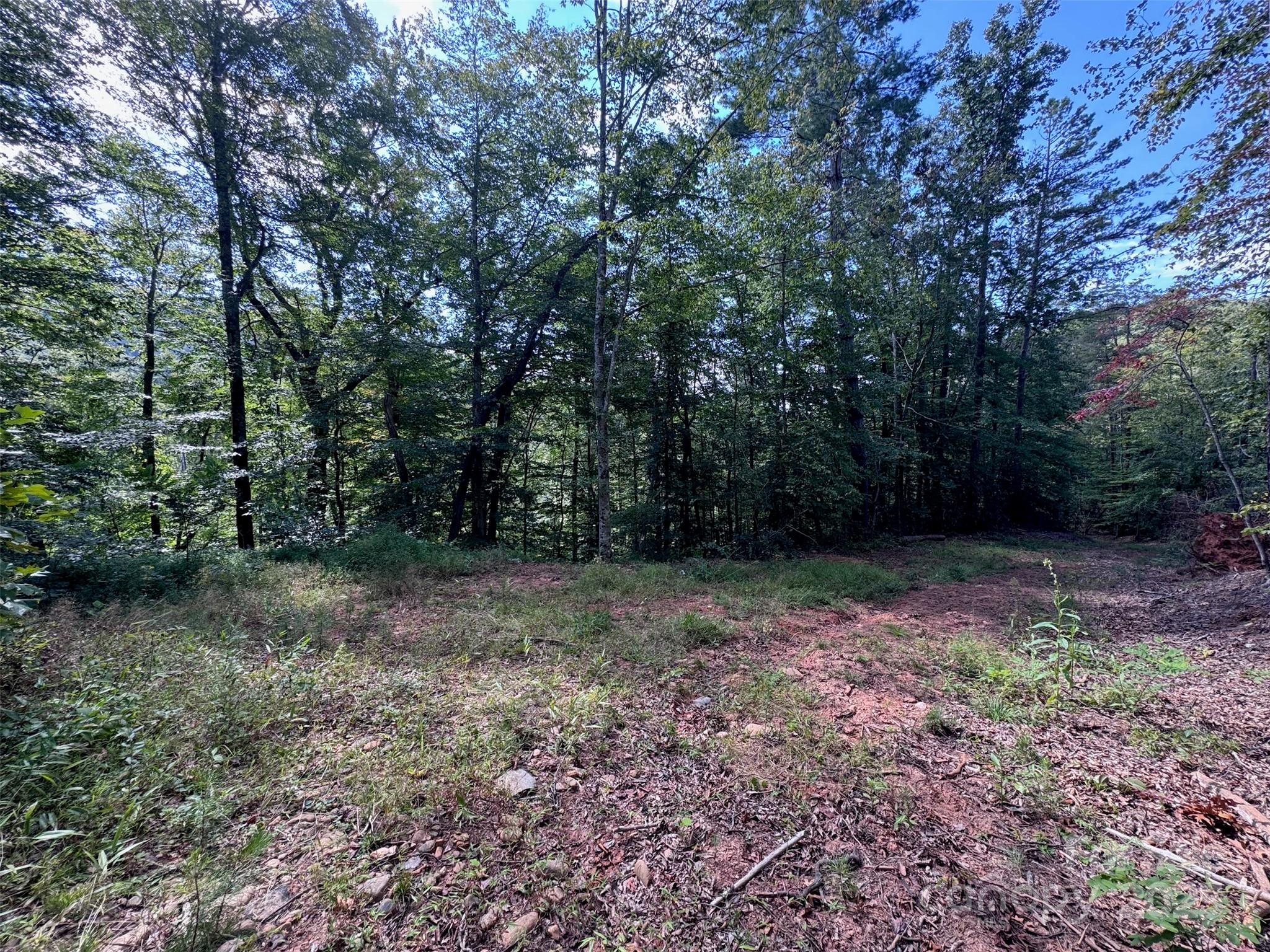 508 Old Bee Tree Road Swannanoa, NC 28778 - Photo 5 of 37 a view of a yard with a tree