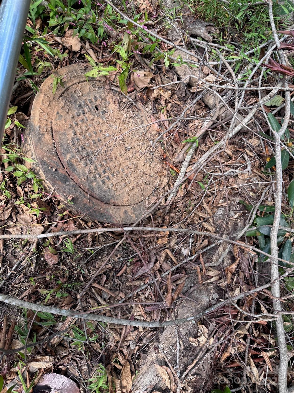 508 Old Bee Tree Road Swannanoa, NC 28778 - Photo 6 of 37