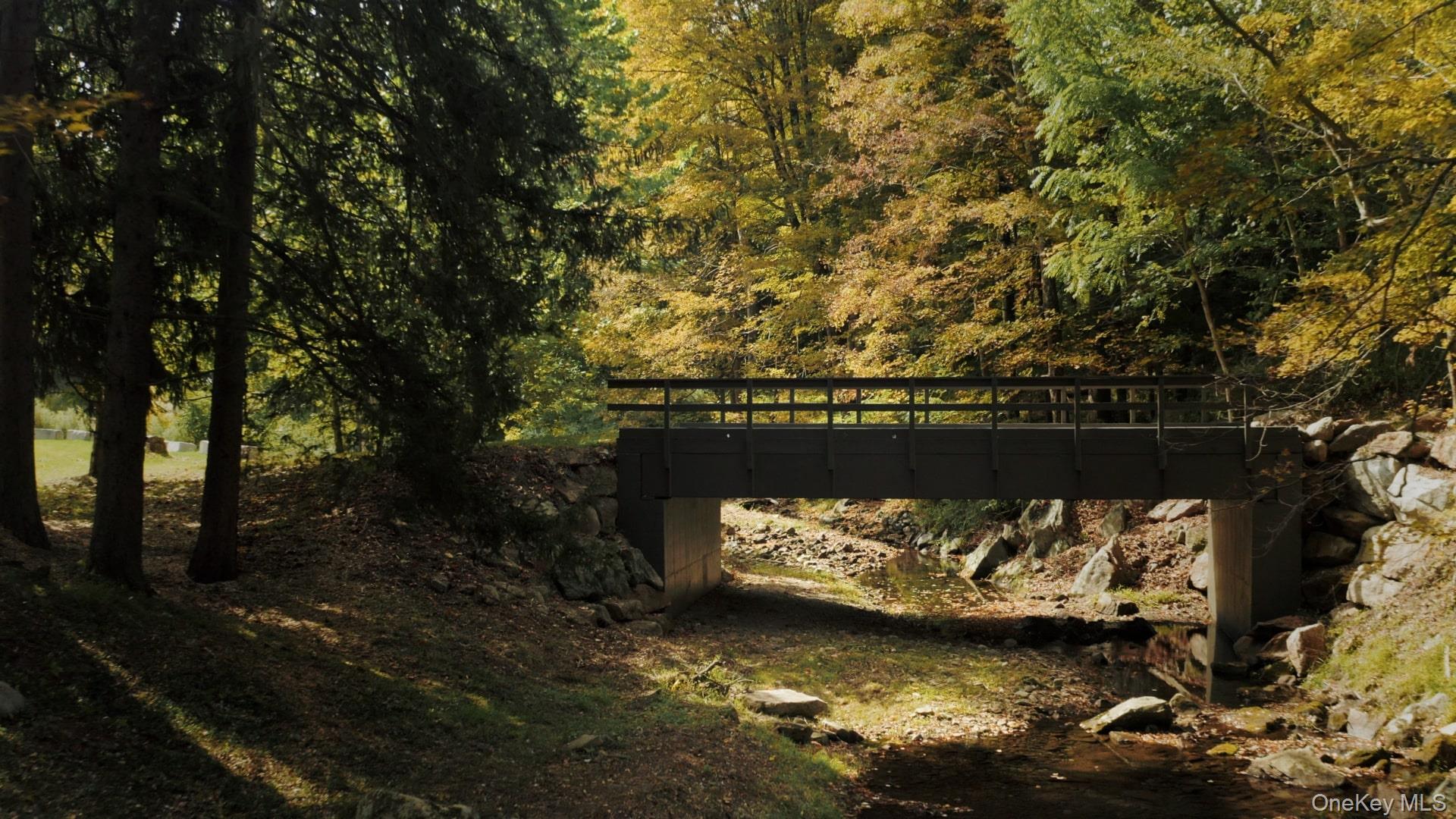 227 East Hook Road Hopewell Junction, NY 12533 - Photo 22 of 23 a view of a lake from a yard