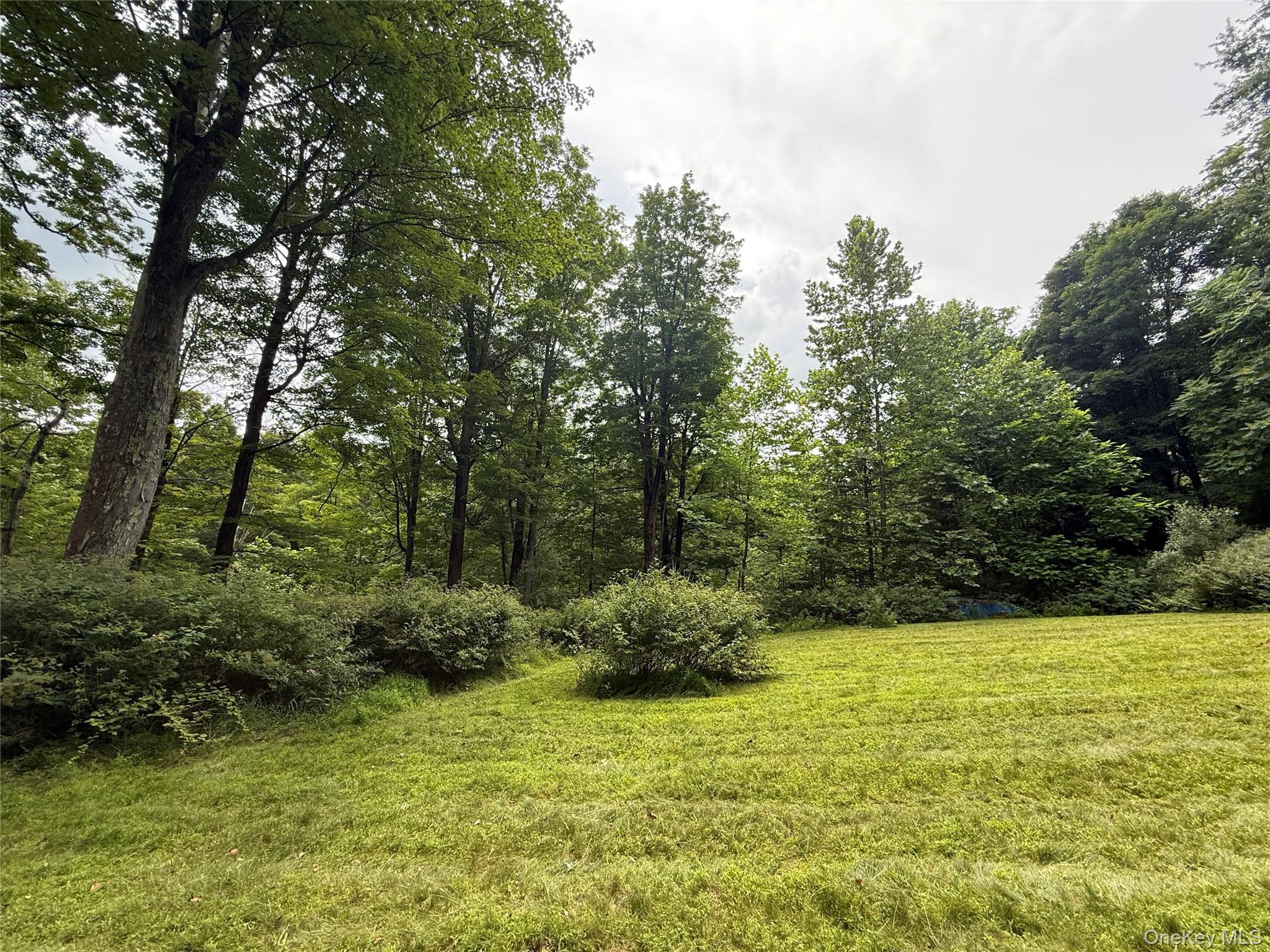 227 East Hook Road Hopewell Junction, NY 12533 - Photo 23 of 23 a view of backyard with green space