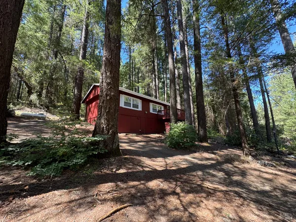 a view of a street with trees