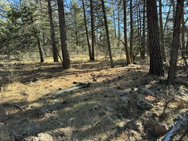 $15,000 | Bunting Drive, Unit 31, Bonanza, OR 97623