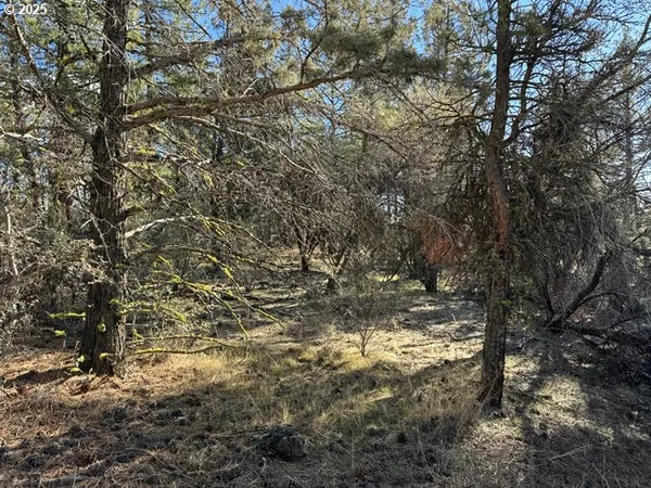 $15,000 | Bunting Drive, Unit 31, Bonanza, OR 97623