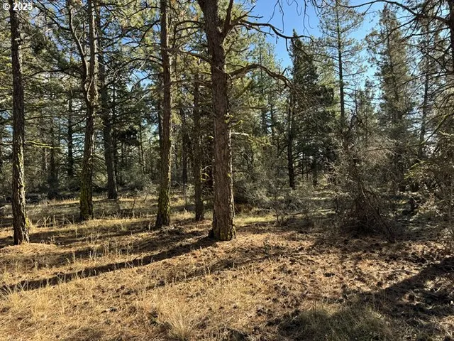 $15,000 | Bunting Drive, Unit 31, Bonanza, OR 97623