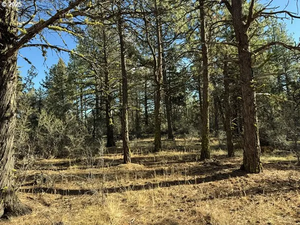 $15,000 | Bunting Drive, Unit 31, Bonanza, OR 97623