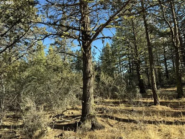 $15,000 | Bunting Drive, Unit 31, Bonanza, OR 97623