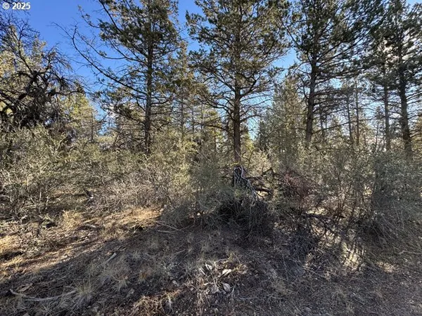 $15,000 | Bunting Drive, Unit 31, Bonanza, OR 97623