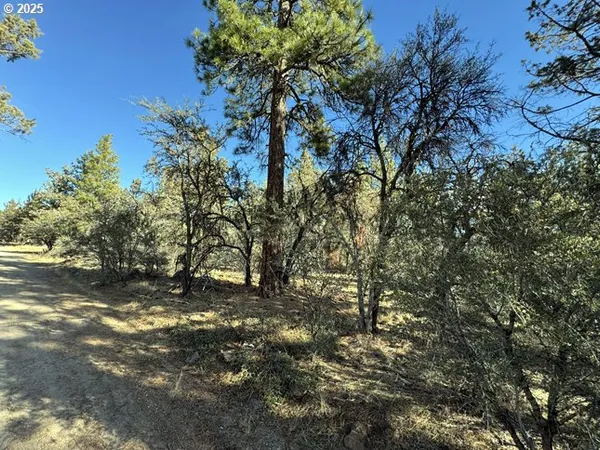 $15,000 | Bunting Drive, Unit 31, Bonanza, OR 97623