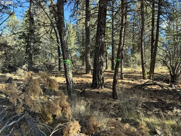 $15,000 | Bunting Drive, Unit 31, Bonanza, OR 97623