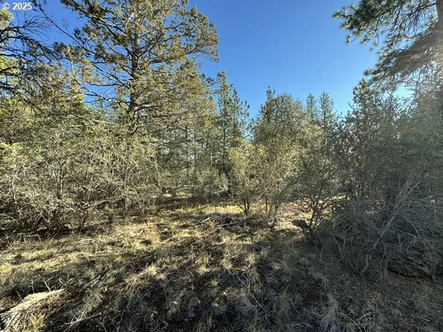 $15,000 | Bunting Drive, Unit 31, Bonanza, OR 97623