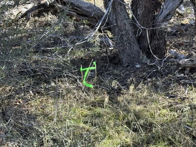 $15,000 | Bunting Drive, Unit 31, Bonanza, OR 97623