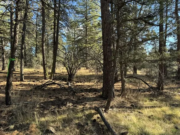 $15,000 | Bunting Drive, Unit 31, Bonanza, OR 97623