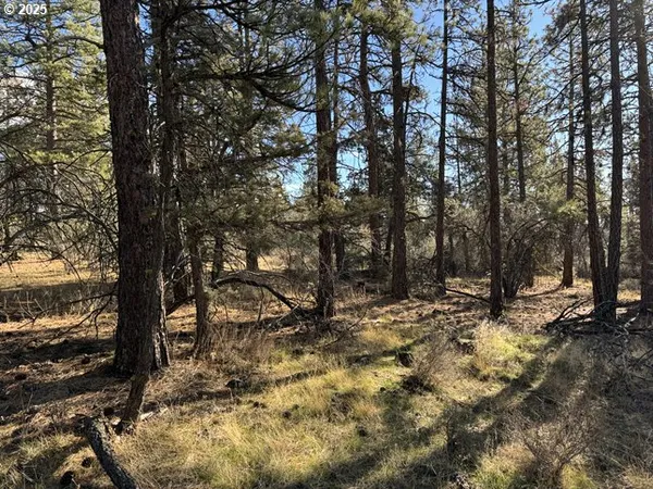 $15,000 | Bunting Drive, Unit 31, Bonanza, OR 97623