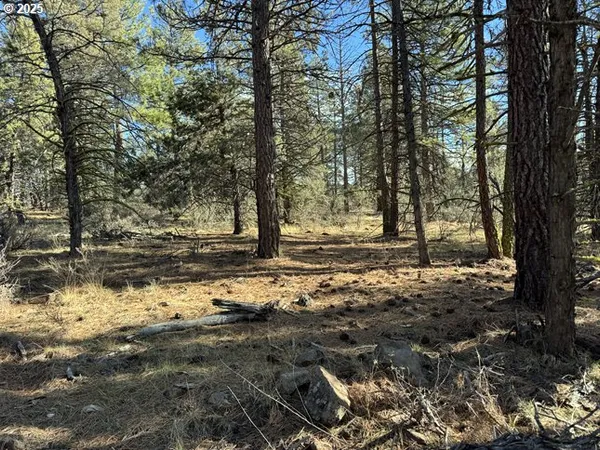 $15,000 | Bunting Drive, Unit 31, Bonanza, OR 97623