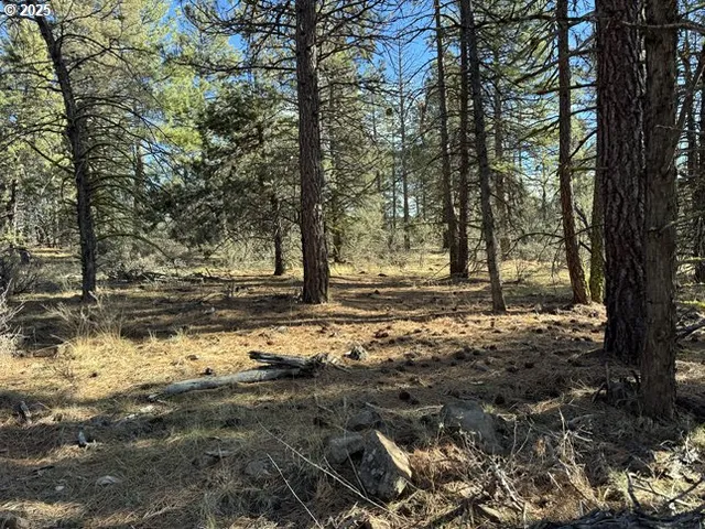 $15,000 | Bunting Drive, Unit 31, Bonanza, OR 97623