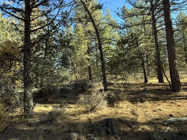 $15,000 | Bunting Drive, Unit 31, Bonanza, OR 97623