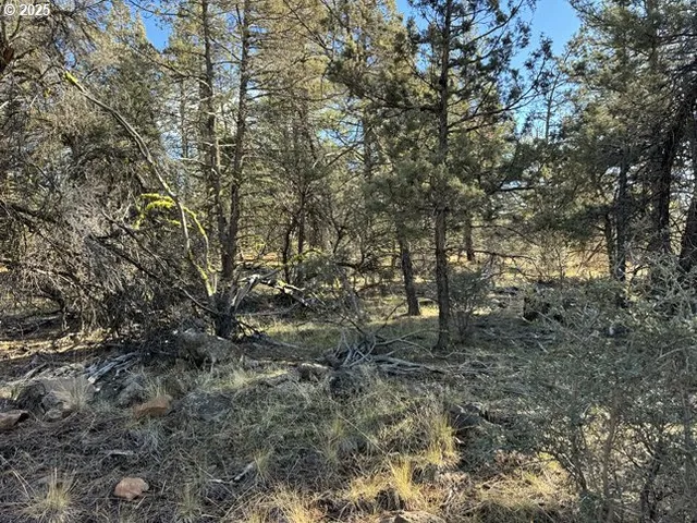 $15,000 | Bunting Drive, Unit 31, Bonanza, OR 97623