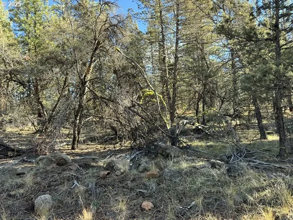 $15,000 | Bunting Drive, Unit 31, Bonanza, OR 97623