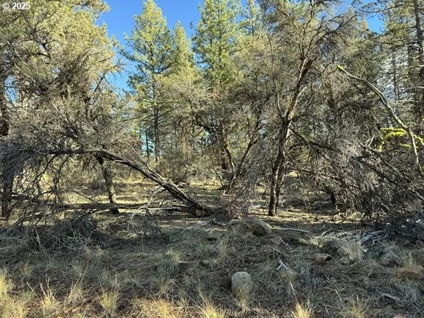 $15,000 | Bunting Drive, Unit 31, Bonanza, OR 97623