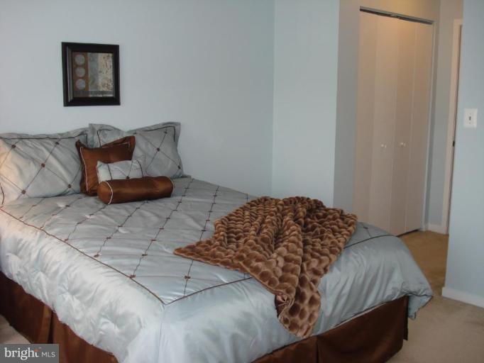 534 South Charles Street, Unit R81 Baltimore, MD 21204 - Photo 20 of 30 Master Bedroom